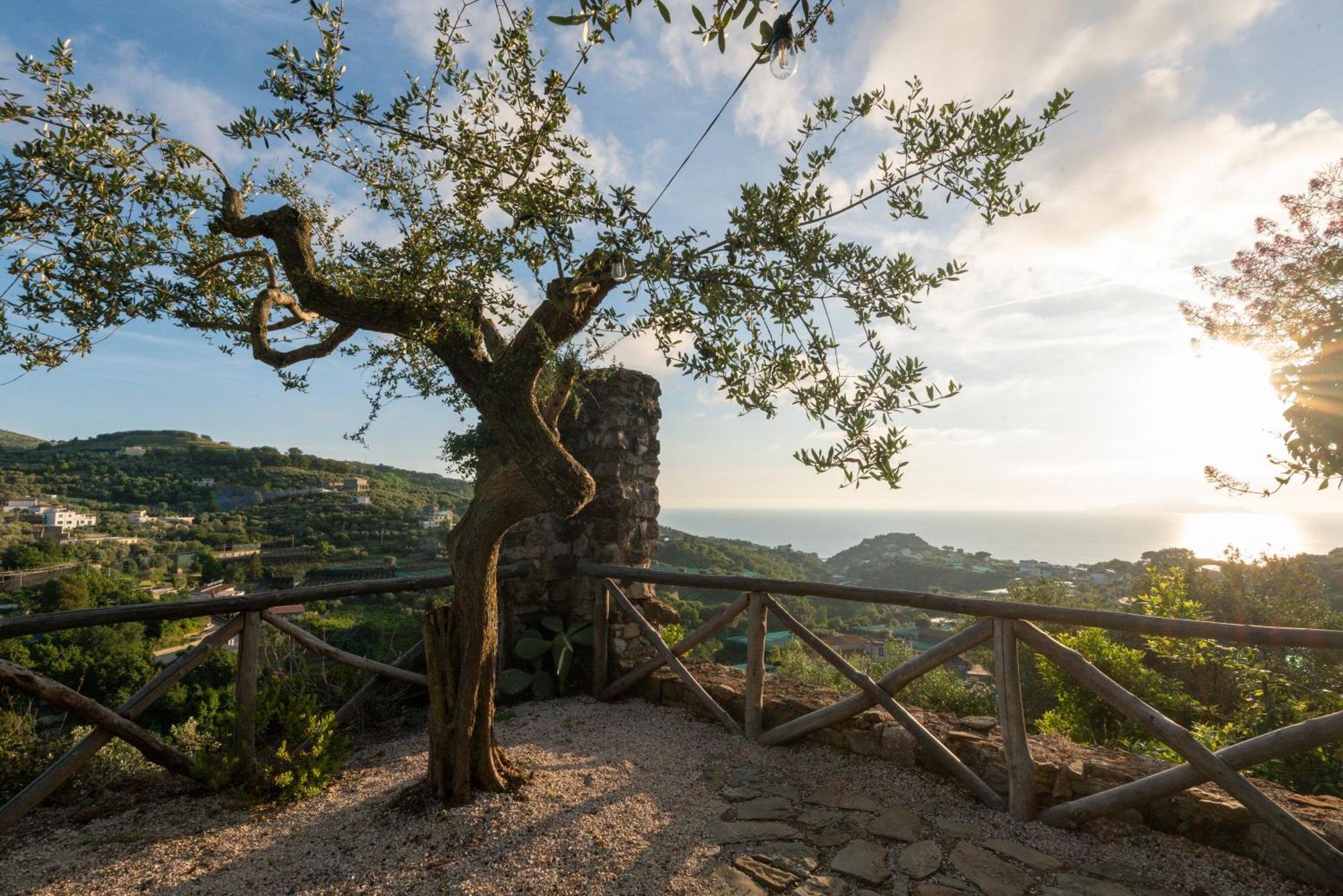 Villa Il Turro Massa Lubrense Exteriér fotografie