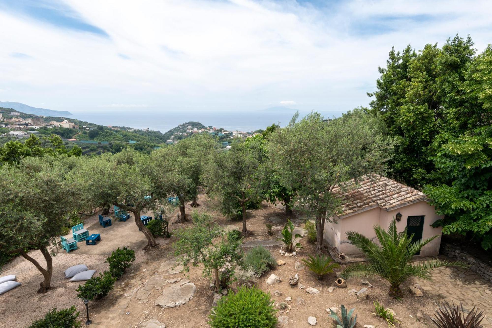 Villa Il Turro Massa Lubrense Exteriér fotografie